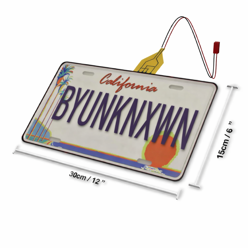 Veloxclubs Vanish License Plate Cover - North America Car - Replacement Glass